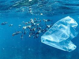 Dalla Conferenza di Nizza una spinta alla diplomazia ambientale, ma resta lontana l'azione concreta per salvare gli oceani