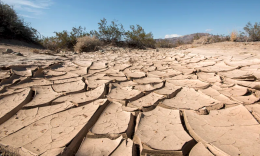 Emergenza siccità al Sud Italia: l’agricoltura a rischio nella Giornata mondiale contro la desertificazione