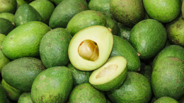 Un superfood per rilanciare la Sicilia: debutta l’avocado biologico delle coste ionico-tirreniche
