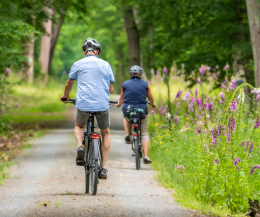 La bicicletta ti protegge dalla demenza: la scienza conferma il legame