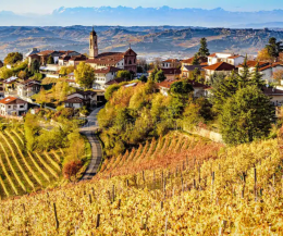 Langhe in bici: la ciclovia Bar to Bar è il sogno verde da pedalare lentamente
