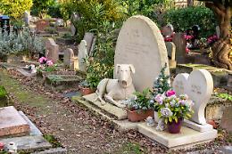 A Palermo, la proposta di un cimitero per animali: "La città ne ha bisogno"