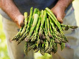 Asparagi, il nuovo lusso verde: calano i consumi, salgono i prezzi