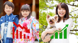 In Giappone i pet superano i bambini: una crisi demografica mascherata da "love economy"