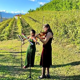 Musica Regina in Villa - 4ª Edizione del Festival Internazionale di Musica