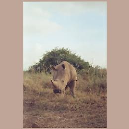 "Tembea uone, viaggia e vedrai": il Kenya attraverso l'obiettivo di Federico Del Santo