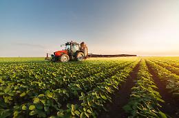 Bonus agricoltura 2025: 500 euro per ettaro a chi protegge api e impollinatori