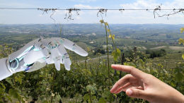 Intelligenza artificiale in Piemonte: il 22,7% delle imprese artigiane la utilizza