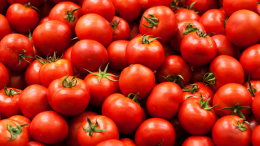 Pomodoro: il frutto dell’estate che sembra una verdura ma è un superfood