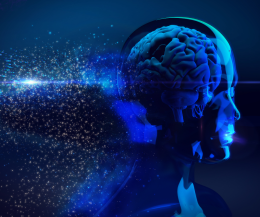 Il Ddl sull'intelligenza artificiale riceve il via libera dalla Camera. Ecco le modifiche richieste e le proteste degli esponenti politici