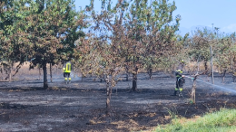 San Giusto, le fiamme devastano i campi: distrutti grano e frutteto, paura vicino al cimitero