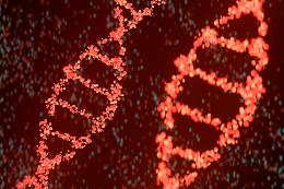 Scienza: estratto per la prima volta il DNA di un antico egizio