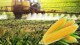 Pesticidi, Slow Food: "Le regole Ue devono valere anche per i prodotti importati"