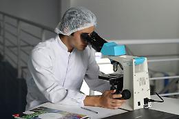 L'Università del Piemonte Orientale cerca una cura per le ferite croniche 