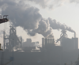 Lo smog come causa di cancro ai polmoni nei non fumatori: lo studio su Nature svela i danni al DNA