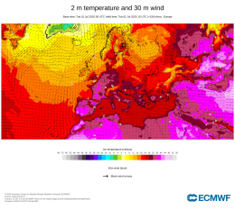 Il caldo estremo è un “killer silenzioso”: l’allarme della WMO per l’Europa sotto assedio
