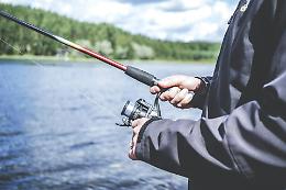 Specie ittiche: il ministro Pichetto Fratin punta a semplificare le procedure di immissione per tutelare la pesca sportiva