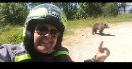 Romania, viaggio in moto si trasforma in tragedia: Omar Farang Zin ucciso da un orso