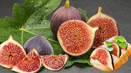 Fichi e "bene-fichi": il frutto dell’estate è già sulla pianta