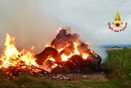 Incendio a Cerrione: fiamme divorano deposito di rotoballe, salvo per miracolo il bestiame