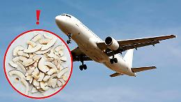 Il cocco essiccato è “merce pericolosa di Classe 4”: ecco perché non si può portare in aereo