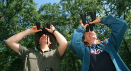 Birdwatching d’alta quota: ali rare e natura incontaminata al Gran Paradiso