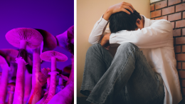 Funghi allucinogeni contro la depressione: in Italia parte la sperimentazione