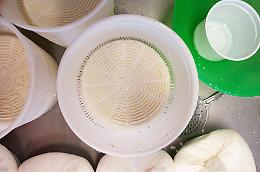 Formaggi senza rischi: arrivano le linee guida per combattere l'Escherichia coli