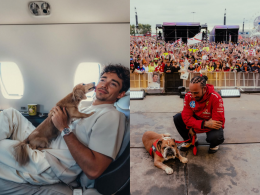 Leo e Roscoe: i due cani delle superstar della F1 che stanno facendo impazzire il web
