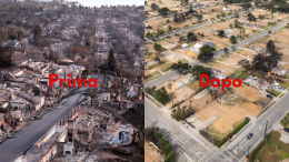 Sei mesi dopo i devastanti incendi in California: com'è la situazione adesso  