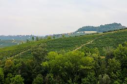 Cammina-tür: 7 camminate per scoprire le colline novaresi