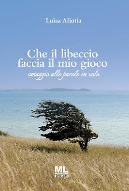 Premio letterario città di Mestre a Luisa Aliotta