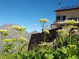 Vivi le Alpi piemontesi: tornano le escursioni gratuite di “Una Montagna di Esperienze”