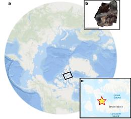 Scoperte proteine di 21 milioni di anni fa: nuova frontiera per la paleoproteomica