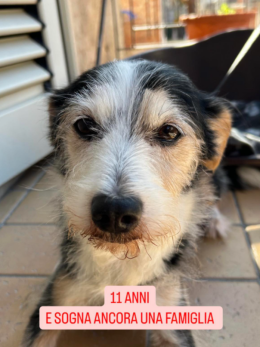 Ha 11 anni ma non smette di sognare amore