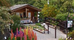 Quattro luoghi dove la natura parla: ecco i più bei giardini alpini vicino a Torino