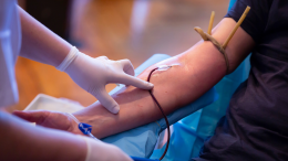 Città della Salute lancia l'allarme: "Sangue e plasma in calo, donate prima di partire"