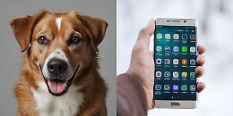 Zecche addio: il trucco con lo smartphone che può salvare il tuo cane