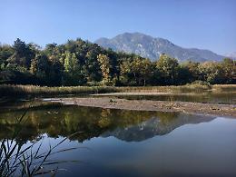 Rivoli, cadavere senza nome trovato nel fango del lago Castelpasserino