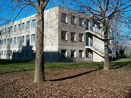 Collegno investe sulle scuole: un'estate di cantieri per spazi più belli e sicuri