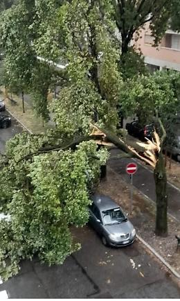 Maltempo su Torino: in Vanchiglietta un ramo crolla su tre auto