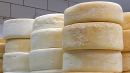 Linee guida su STEC e latte crudo: Slow Food chiede un approccio più equilibrato