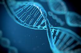 Realizzata la mappa più completa del genoma umano: un grande atlante del DNA