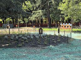 Parco Golgi si trasforma: arriva la prima Oasi Tech di Novara