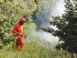 Incendio in un noccioleto a Mombello Monferrato: domato dopo ore di intervento