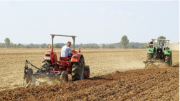 I dazi uccideranno l'agricoltura torinese?