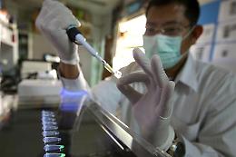 Aumentano a 9 i decessi per virus West Nile in Italia nel 2025: focus su Lazio e Campania