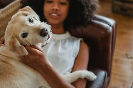Sepoltura con il proprio cane: a Ciriè, ora, si può