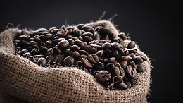 L’Università di Torino aderisce al Center for Circular Economy in Coffee