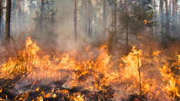 L'Italia in fiamme, il Piemonte fa scuola